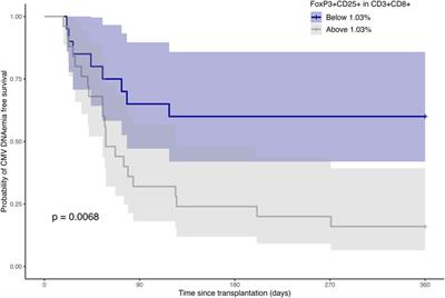 Pre-Transplant Frequencies of FoxP3+CD25+ in CD3+CD8+ T Cells as Potential Predictors for CMV in CMV-Intermediate Risk Kidney Transplant Recipients